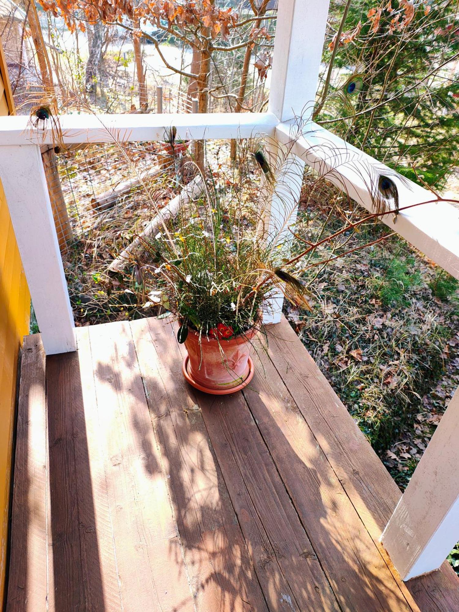 Zu Haus In Der Ferne Villa Baabe Luaran gambar